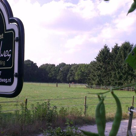 Vakantiehuis "Aan De Zandweg" Roderesch المظهر الخارجي الصورة