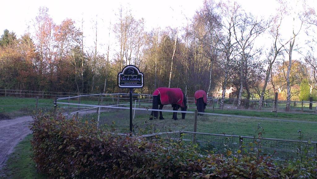 Vakantiehuis "Aan De Zandweg" Roderesch الغرفة الصورة